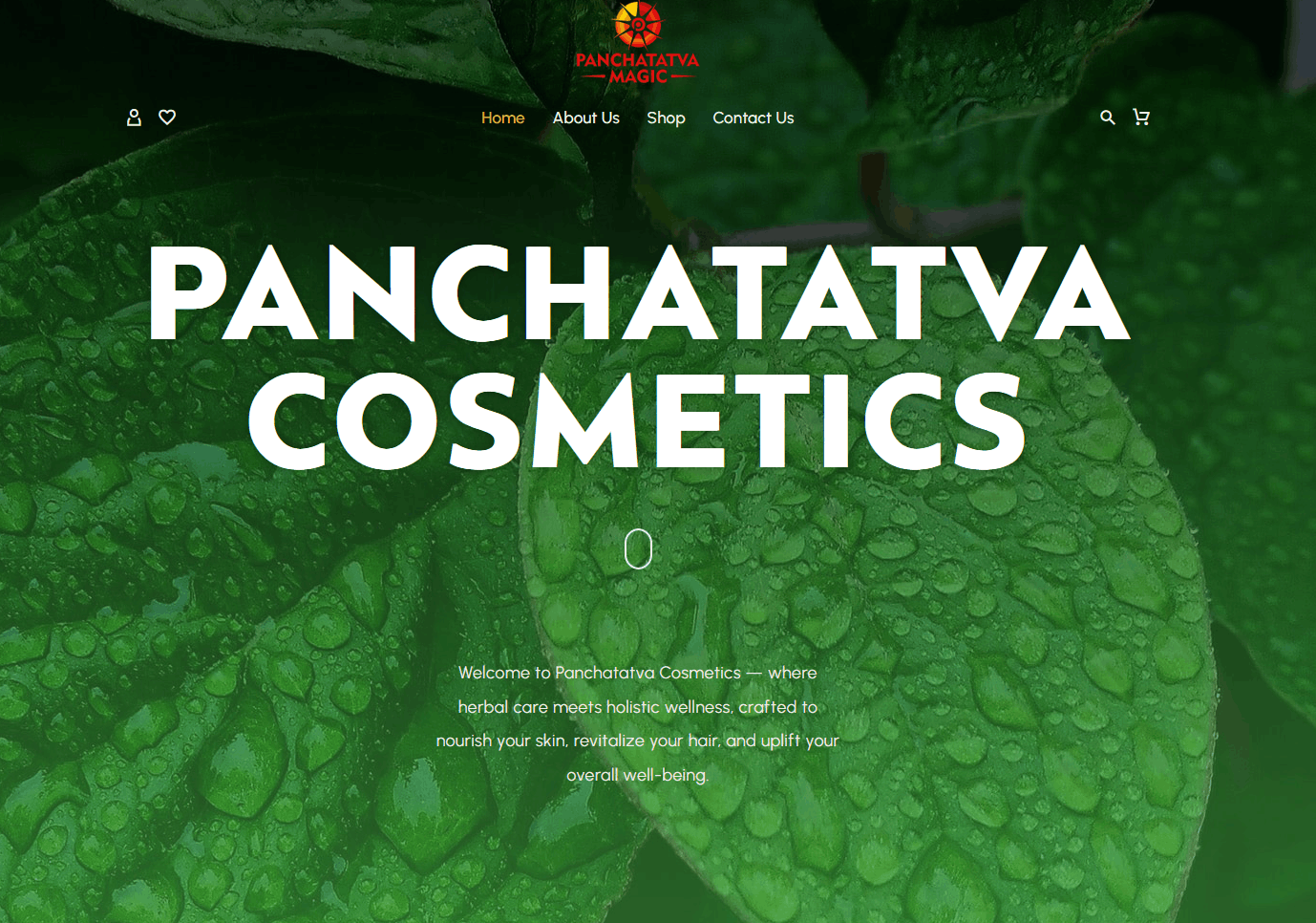 Panchatatva Cosemetics